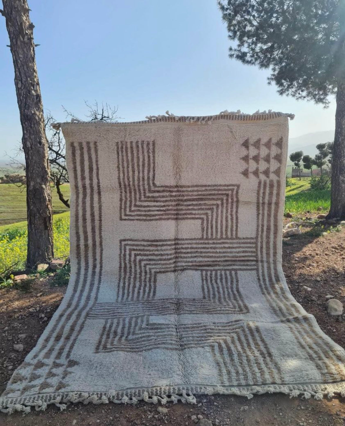 6.5x10 ft Moroccan rug